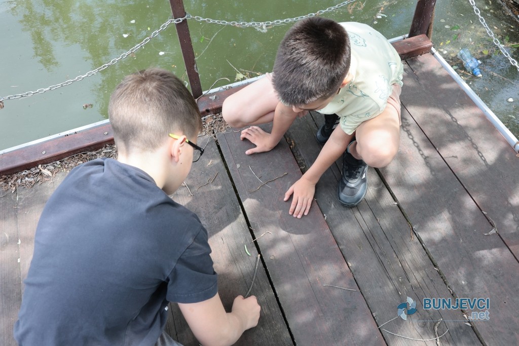 Ekskurzija 23